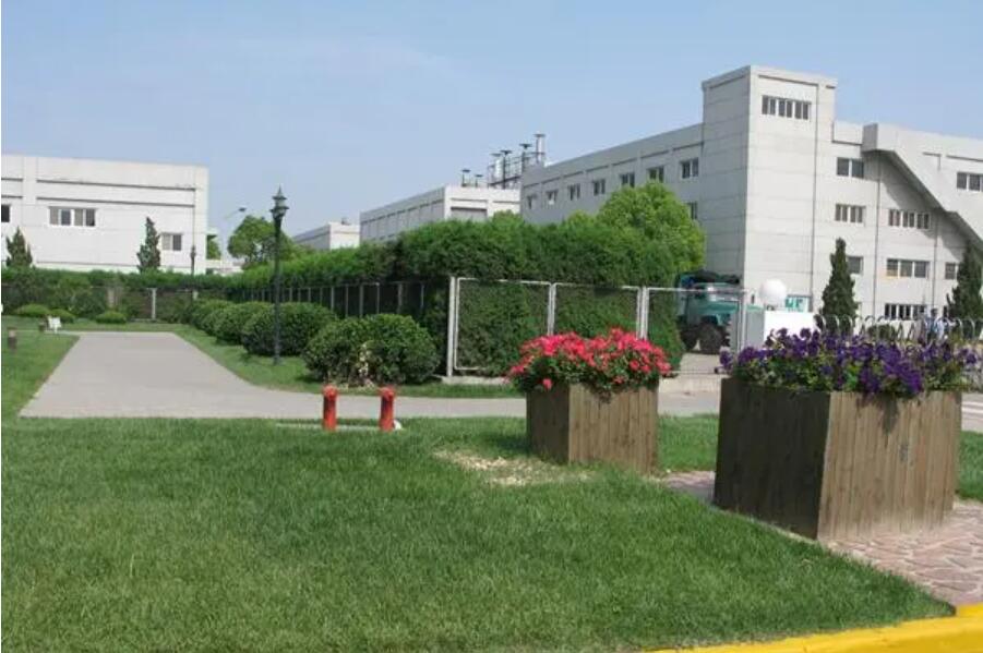 廠區(qū)綠化